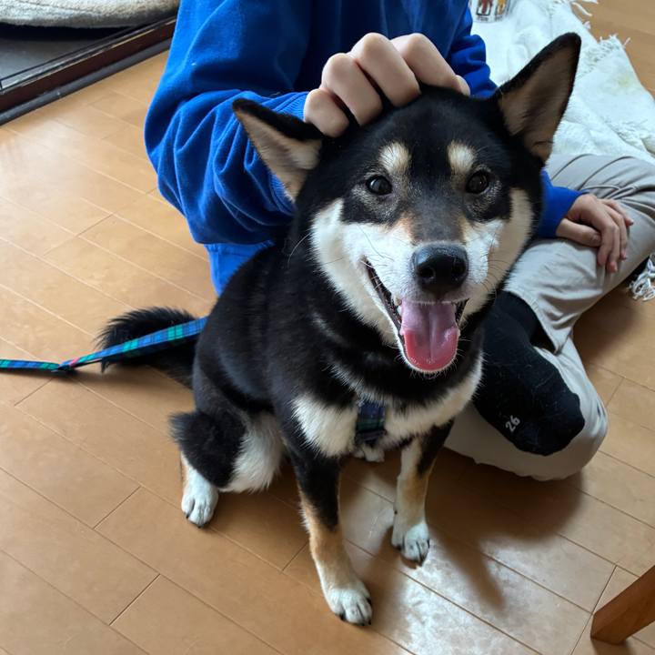 5fac6bb9 7b34 46c2 817b 59ba48fa661f 1768191024633