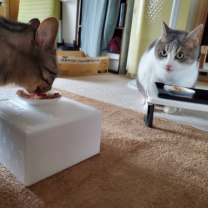 5fac6fd1 bfba 4cc4 8814 1626d35cf999 1723599432581