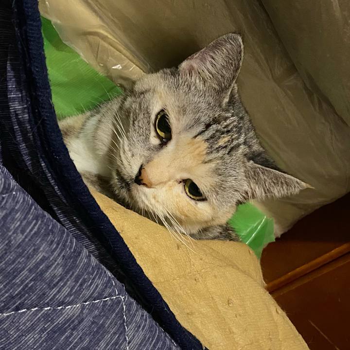 5fac8059 b74d 4648 8848 09c7f90b7f99 1664800649767