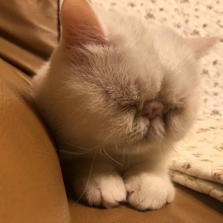 5fac9b26 f7cd 43ff 8ca1 9a439d631d9b 1682330701558