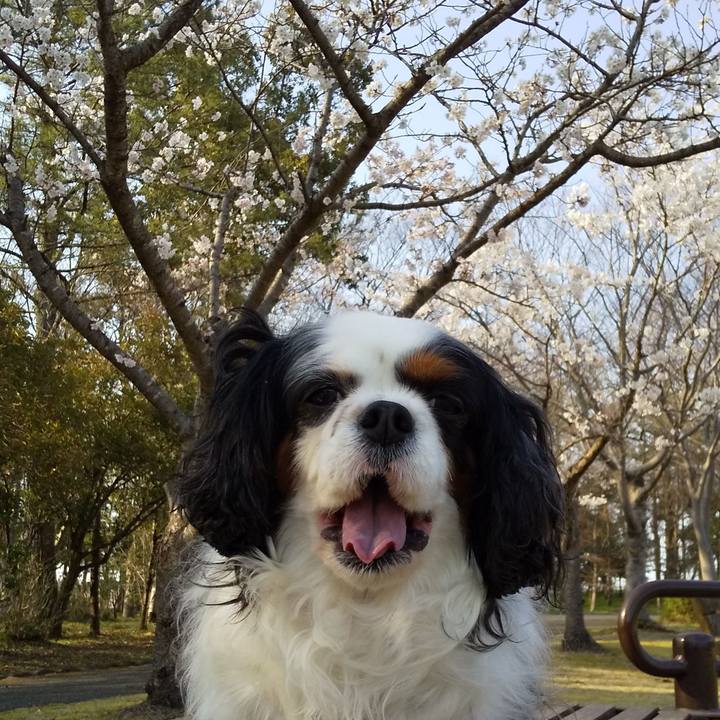 5facccb7 c4ef 4851 8e1d b190b1a28a41 1585902464188