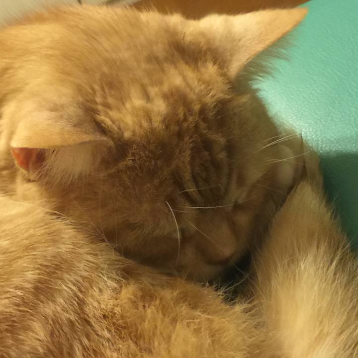 5facceb1 40f9 4a37 bb01 29b58aaeb945 1555494202745