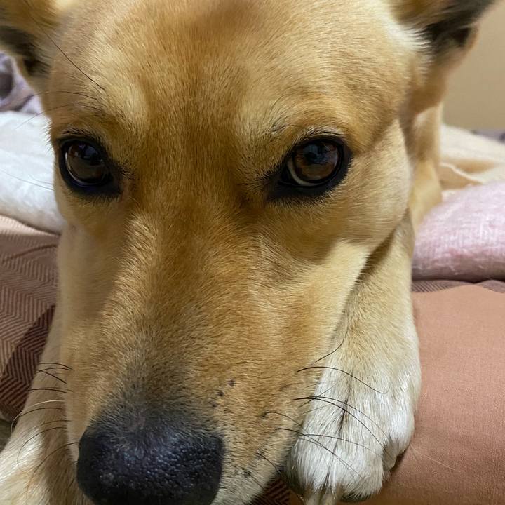 5facd386 b763 4990 bbe3 cf11795890ee 1642068431925