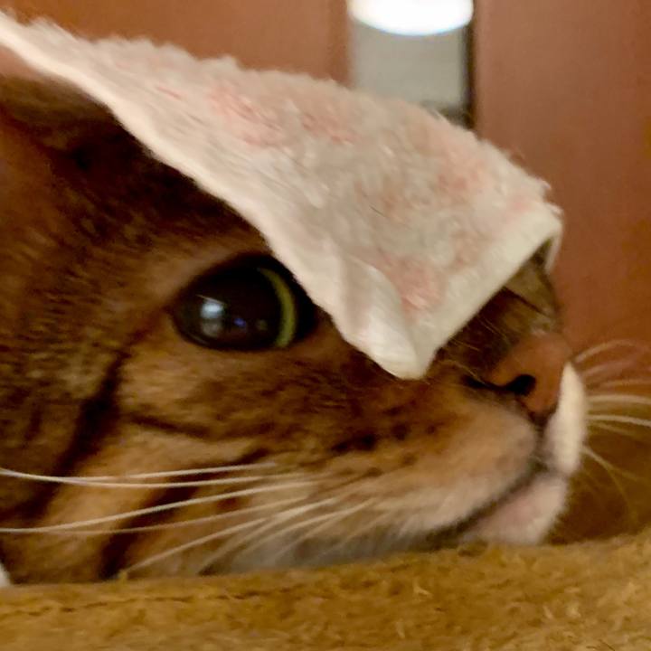 5facd4c0 6646 4546 9efe 387d0d615047 1562120142332