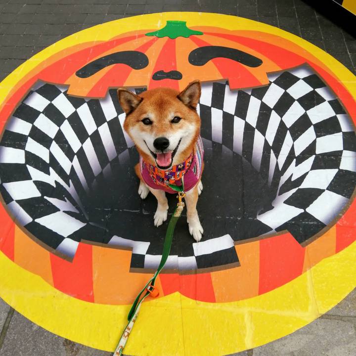 5fad04b9 3df3 4196 8ed5 80ff7390cad3 1633506055514