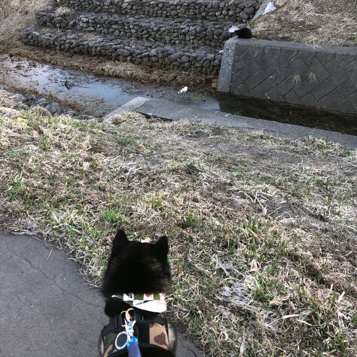 5fad5e9f f7c2 44f0 85ed 4251092b25ba 1554975531230