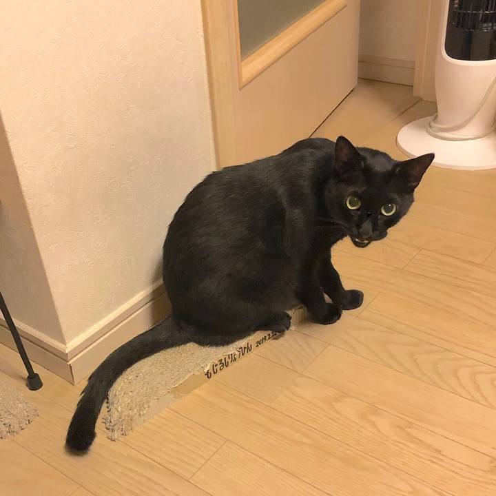 5fad6c93 5eaf 40c8 9bdf 30a4d1a75636 1562845504528