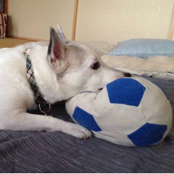 5fad99ac 87ba 4523 9f96 9c2754a977ed 1764112442630