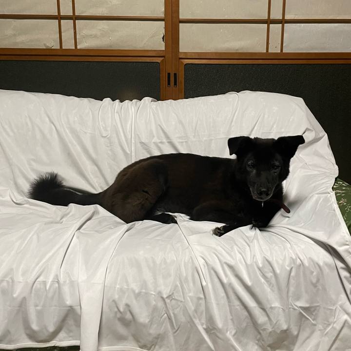 5fadb245 7850 4bcb 94dc a03e39c09f17 1695298234366