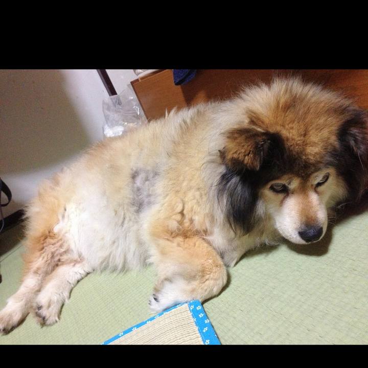 5fadcfb1 996a 41dc b3db 57e2c8a2dc10 1609888815164