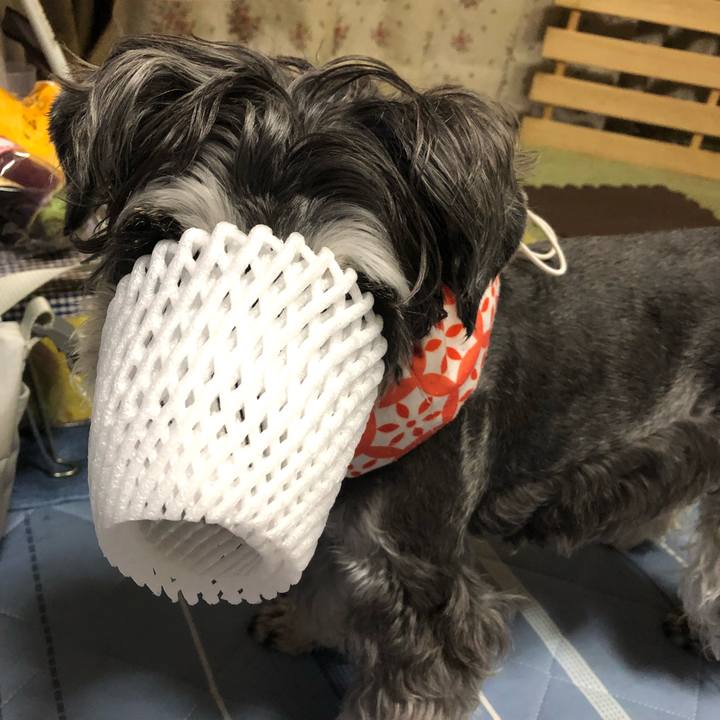 5fae1bbc 1635 4010 9ad3 aa92573ac92c 1692537659040