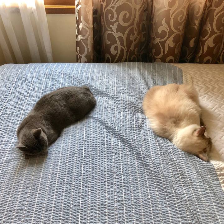 5fae3ba6 bb48 4291 827f 4db902a82cc5 1569387033097