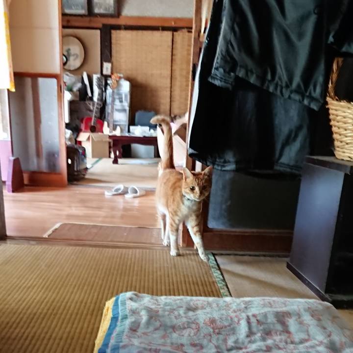 5fae62b3 4726 4e06 8320 b77fe6507d66 1595486319513