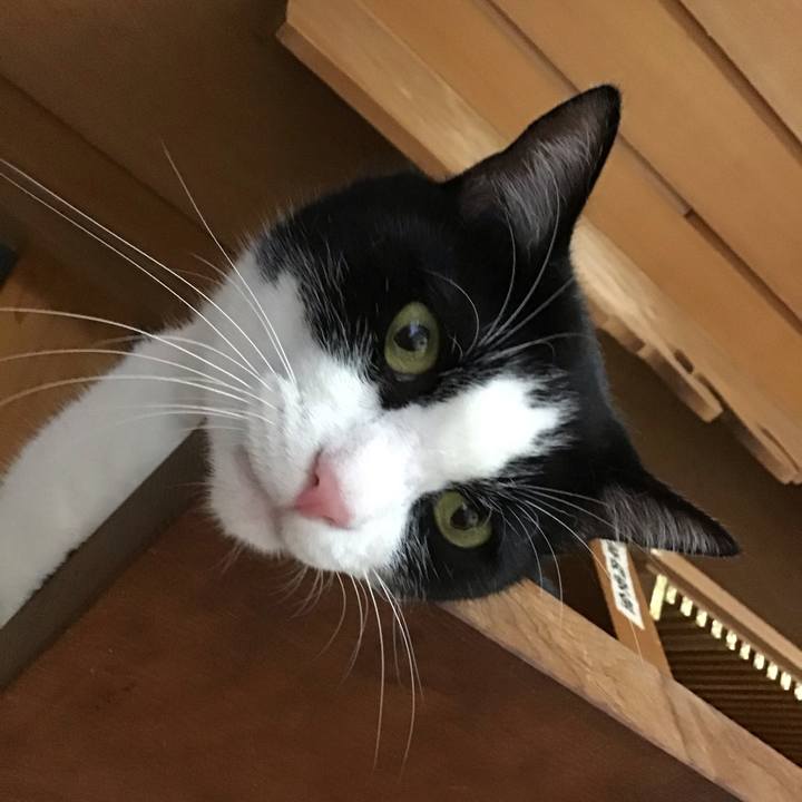 5fae9feb b7e7 4bb8 97c2 a3084bdf6fb2 1726041328899