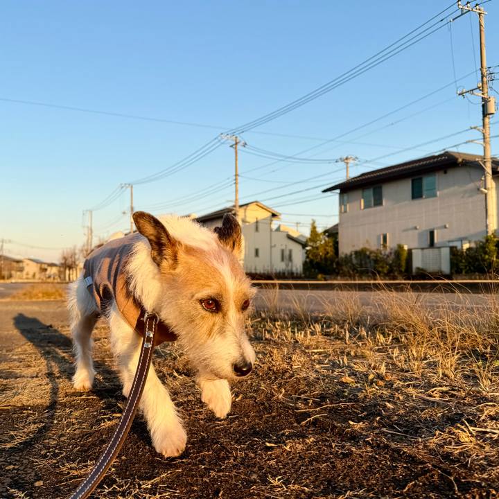 5faee56d 5c75 44a5 8de7 ba67888d56c0 1770904545006