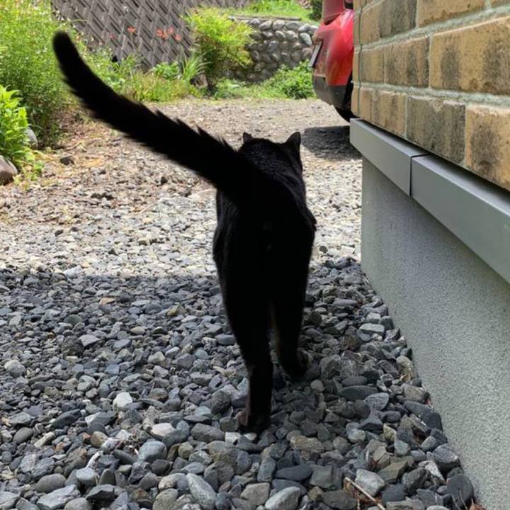 5faeff43 b74a 4a9d aae1 b041e739d5a8 1660386668839