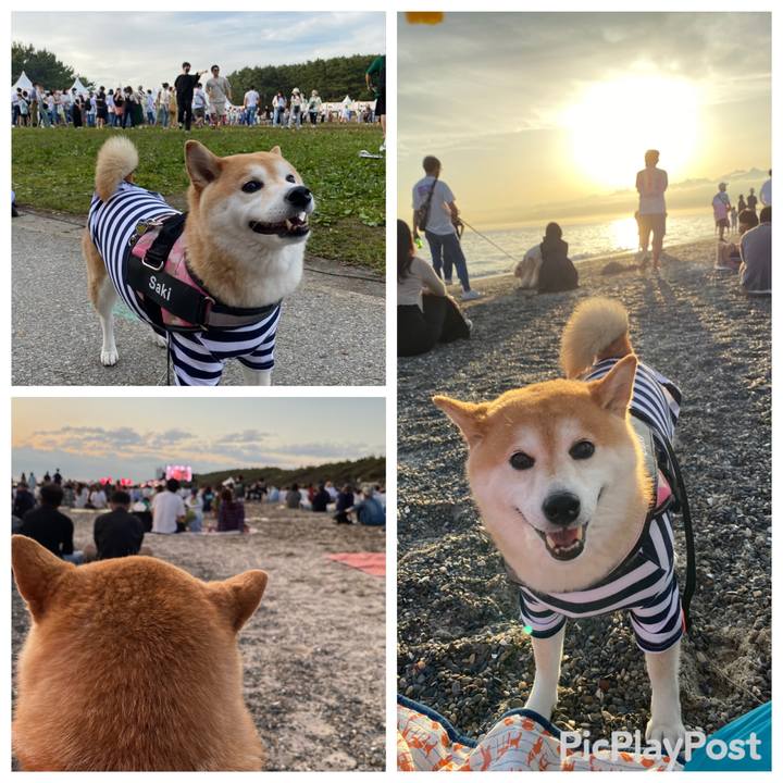 5faf1bb8 b0d5 4ad9 84d4 0ac3809e39af 1652536350445