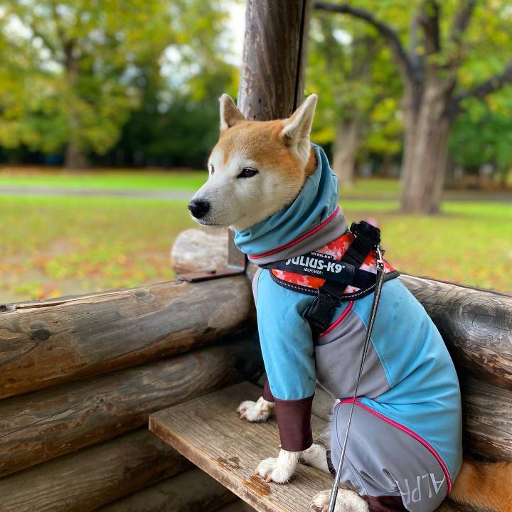 5faf2928 f8d3 44c0 8896 192f8faea24c 1697508228109