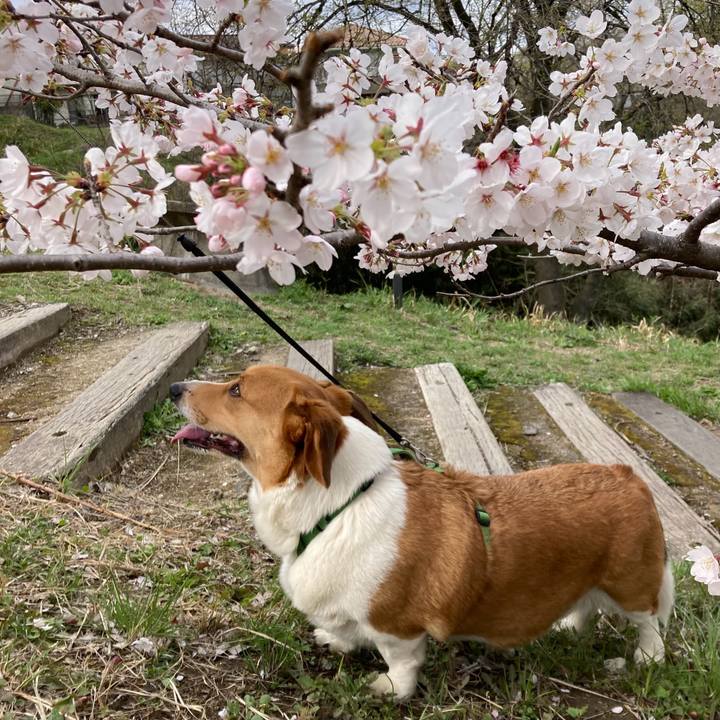 5faf312e 3ed1 4efc b08d 22a936178ff9 1712535937021