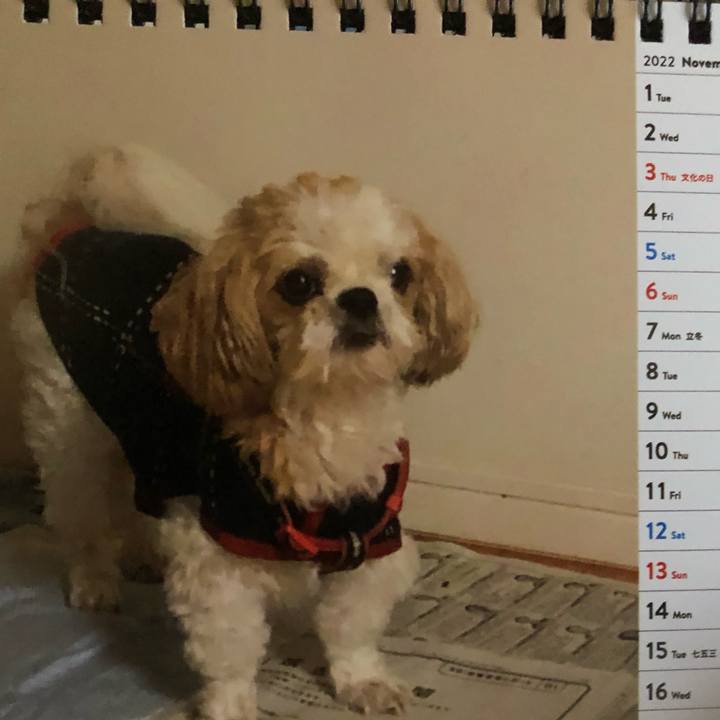 5faf3b28 260e 48fe 8ae1 8c2d0630b56f 1667252834884