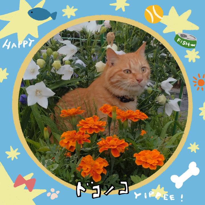 5faf3c29 e539 415c afac 62f645876f5d 1720780214765