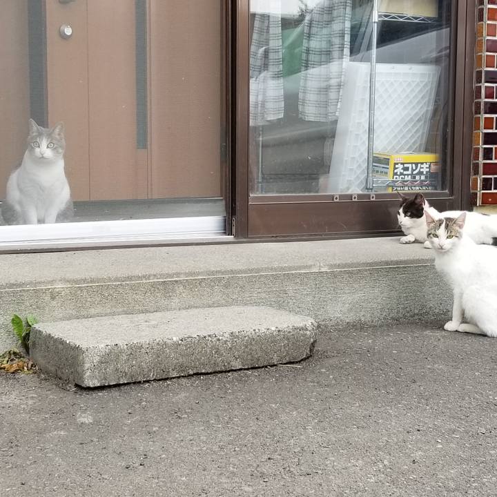 5faf55af 120b 4731 831e 7ca8219b292b 1559030991566