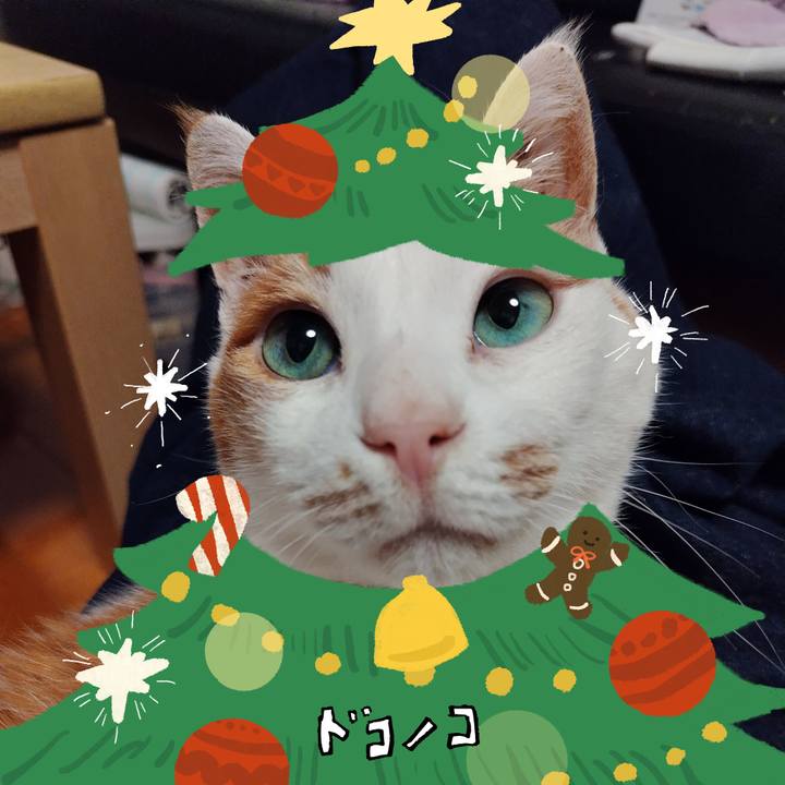 5faf5c46 f92e 4d3a a536 659afa75edc9 1761101056380