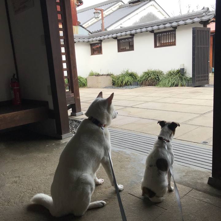 5faf8de6 889c 400d bce9 d269cbf8f07d 1514082583035