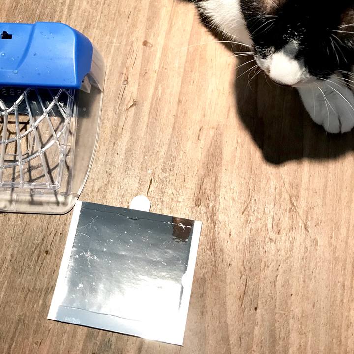 5fafa9fd de69 4894 8869 9eb527aeb095 1528254286124