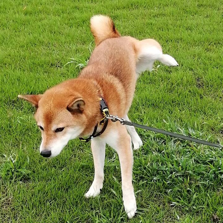 5fafd6db c13e 40a5 9d7a 015d45d3cb24 1601127760098