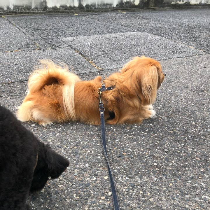 5fafea5d 76e6 49a6 9e7b 6e3dbe233f07 1534109278383