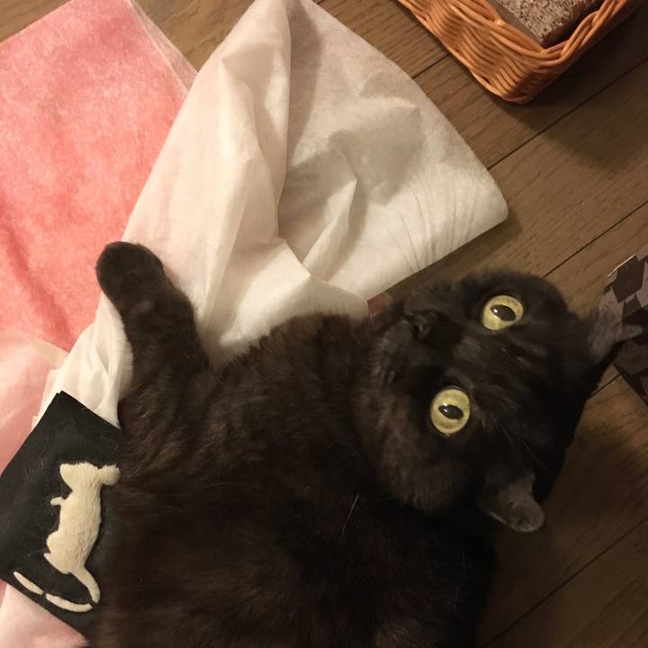 5fb01bb0 a295 4e51 a1eb b9f40f6aff13 1552931711114