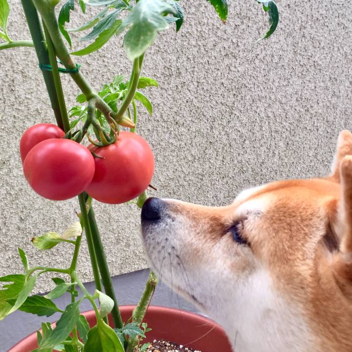 5fb024de 1652 4e81 b7d3 2de0bec18fbd 1532740063390