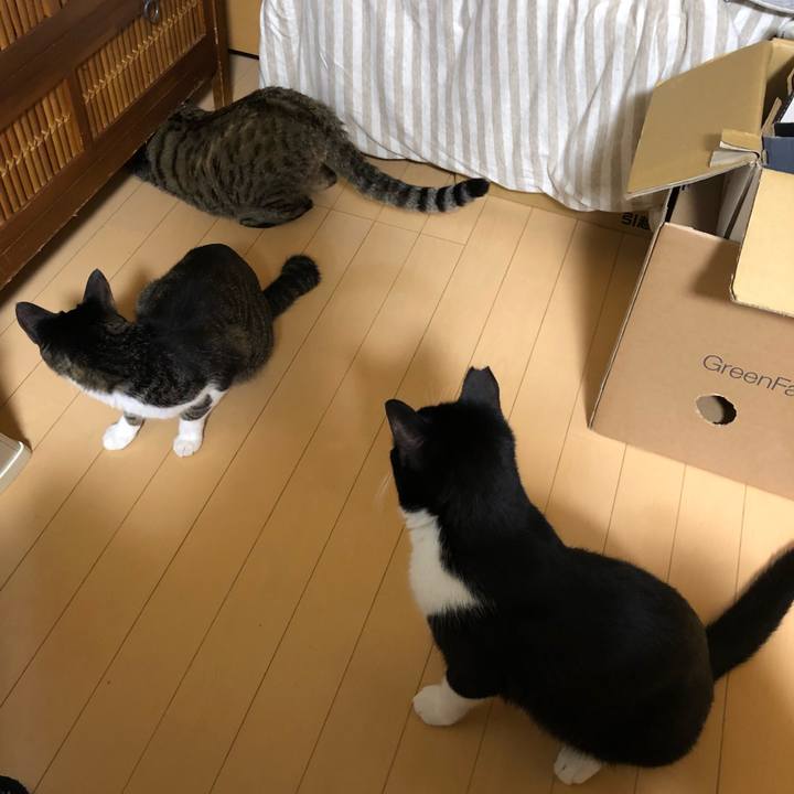 5fb08268 114c 47e2 8204 6a5ac91a4c06 1539061770260