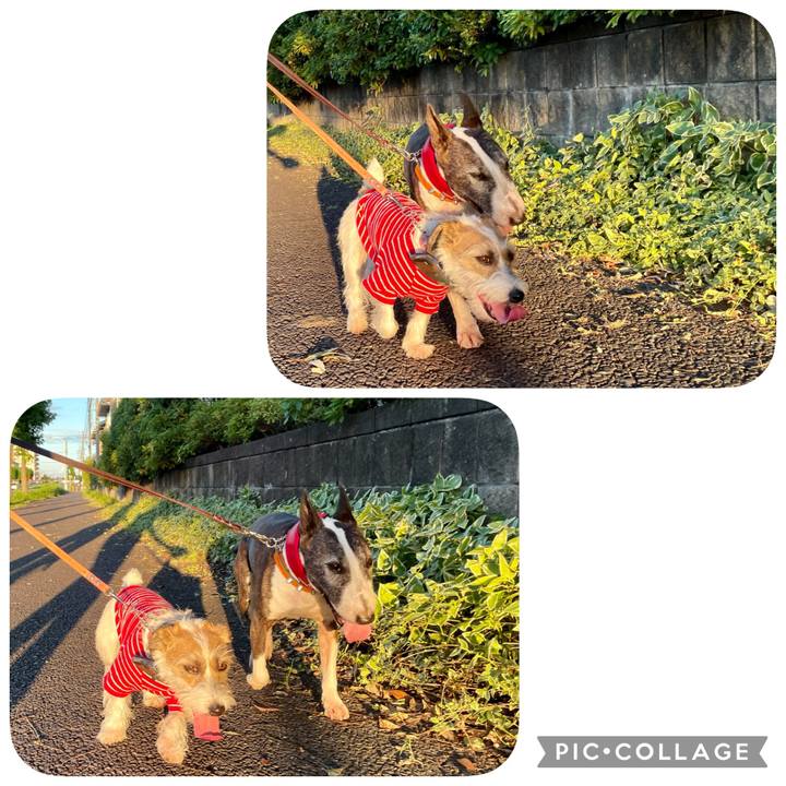 5fb09242 991f 4f5c 8d81 905e3d79aa12 1628245029749