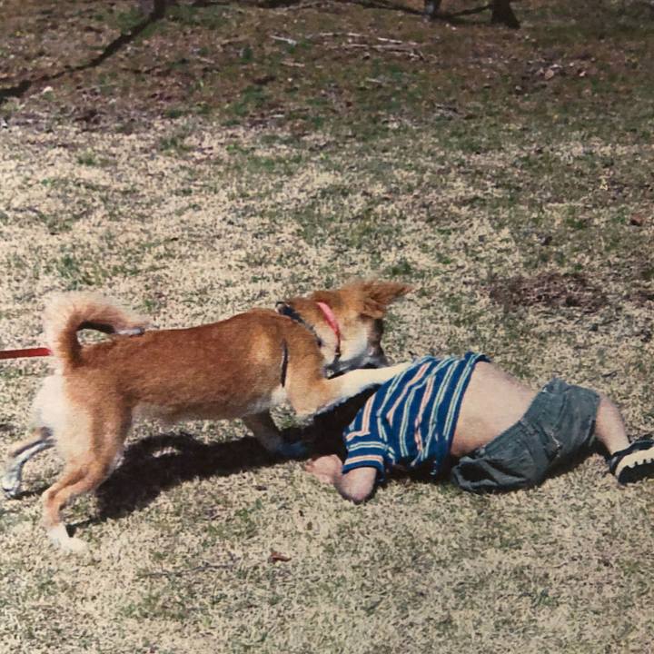 5fb0a2cd 97d3 416f 8387 adc41220ab7f 1538629242272