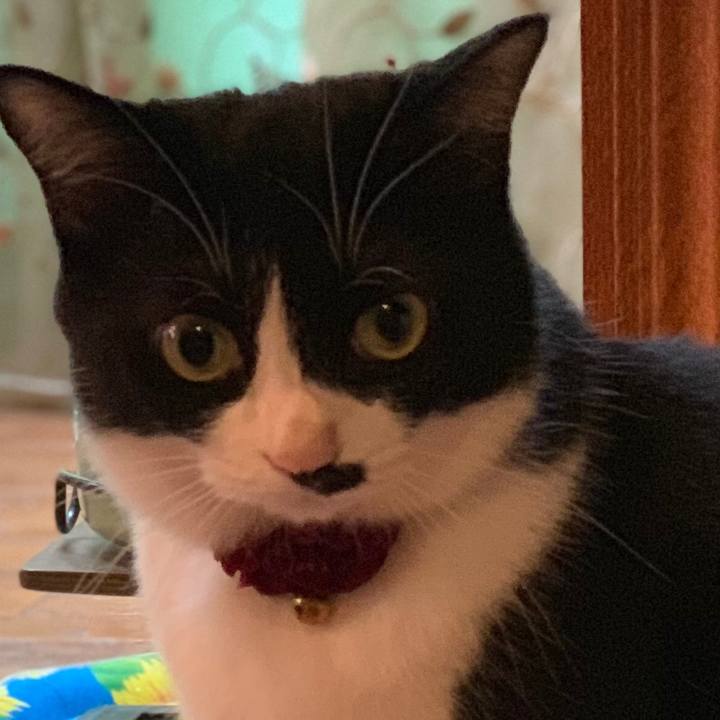 5fb0affa 3484 4c53 9114 6c0828610cfb 1563327385296