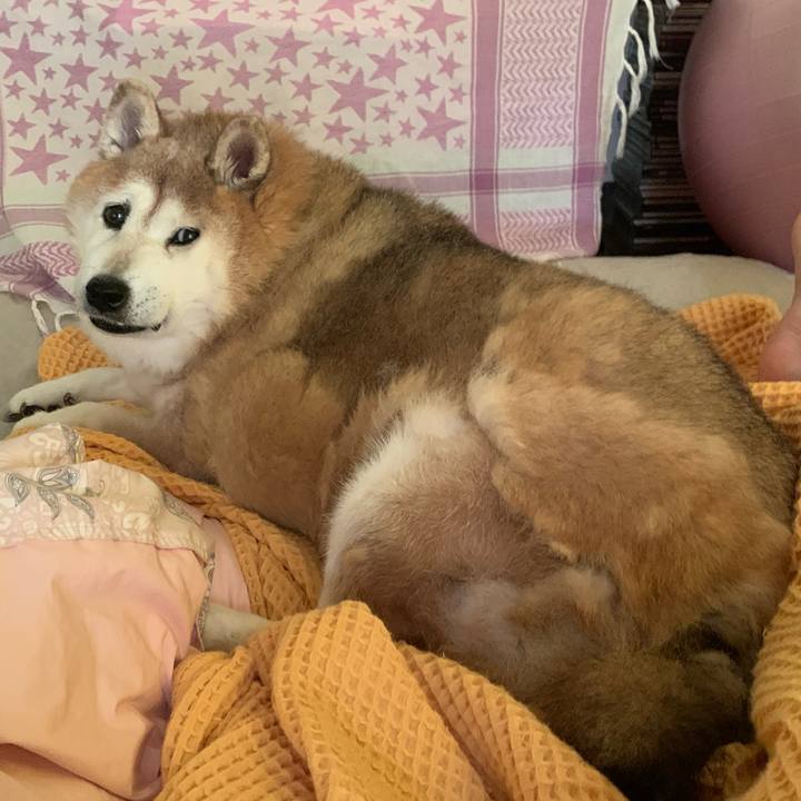 5fb1127f 8ed0 4c00 be08 b190639dd22b 1622367573776