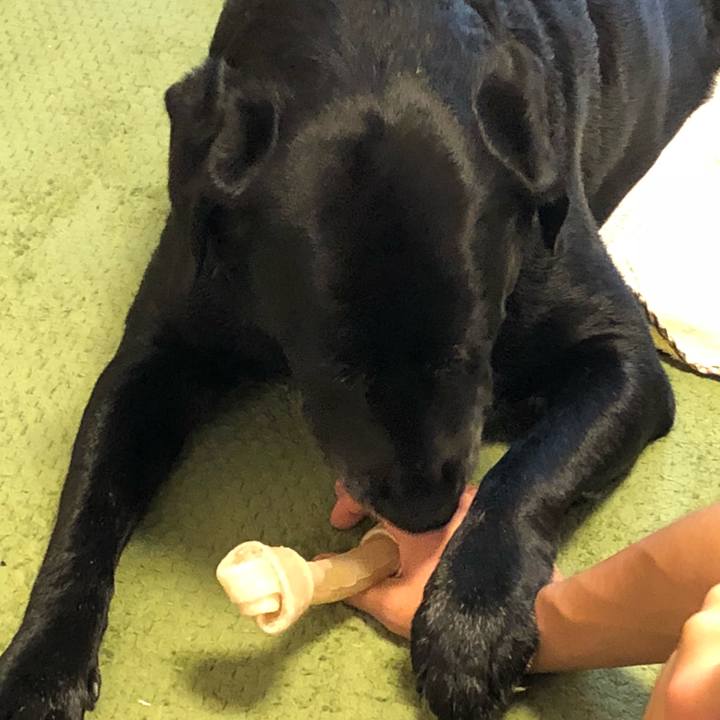 5fb11956 5aa4 445c bcee c4dfe678d06d 1532568104161