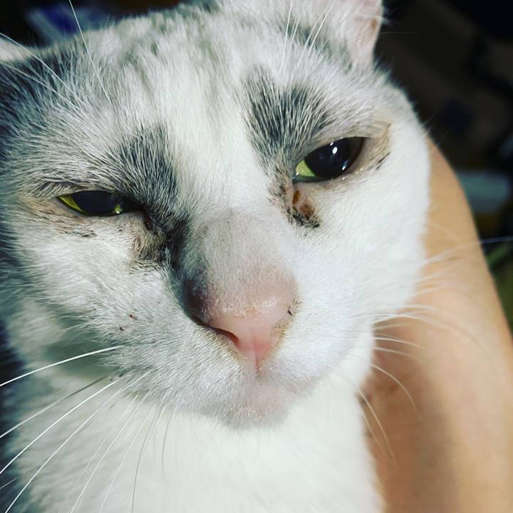 5fb136d7 6904 456f b4a3 38f1b0ba9362 1614969204027