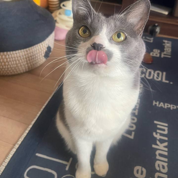 5fb146d5 7aca 43f7 a802 66c36acf8a6a 1713067368187