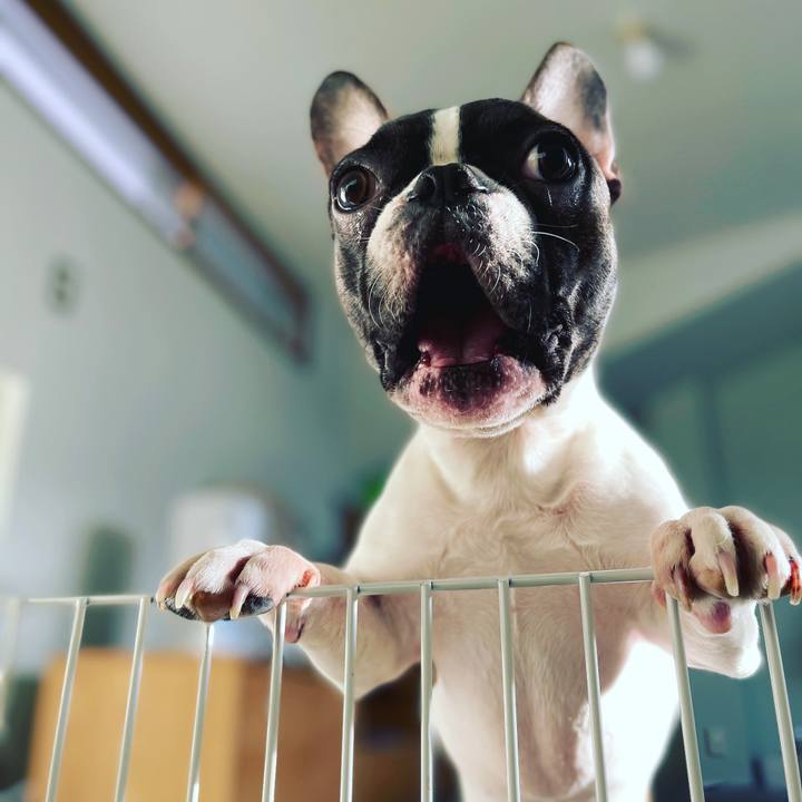 5fb14f8b 2244 4d6e bd22 c2eaa86a76da 1641787058106