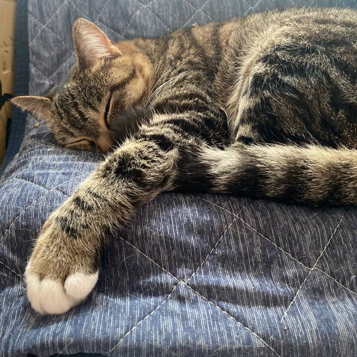 5fb1730b c5e6 4978 add4 9180e52364f8 1652354032160