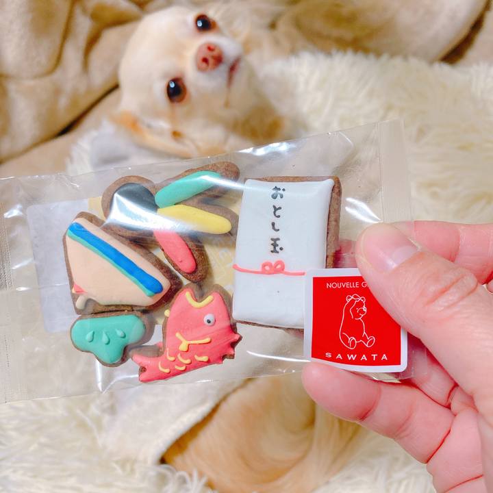 5fb17dad 13d2 415d 862a 8ea2f0676119 1641604539350