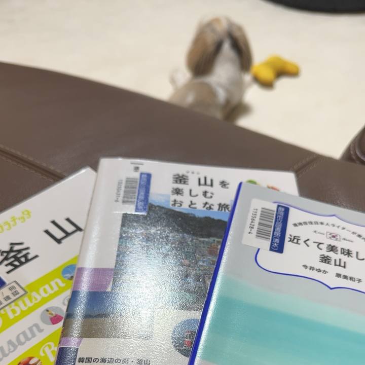 5fb19bda a47e 414c a61f 63c043c7c169 1754396942190