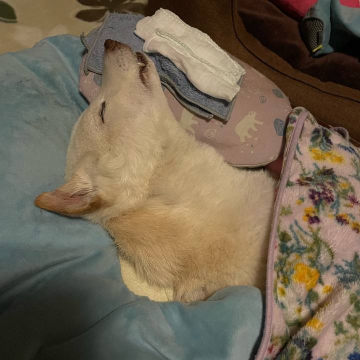 5fb1b747 243d 4768 96d8 77b004ecf05e 1677523830491