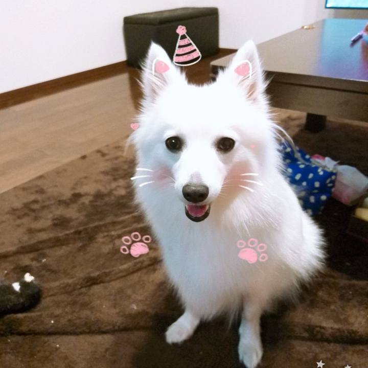 5fb1bf0a da2b 4a6a 9932 5aa8fc4b878b 1530025443586