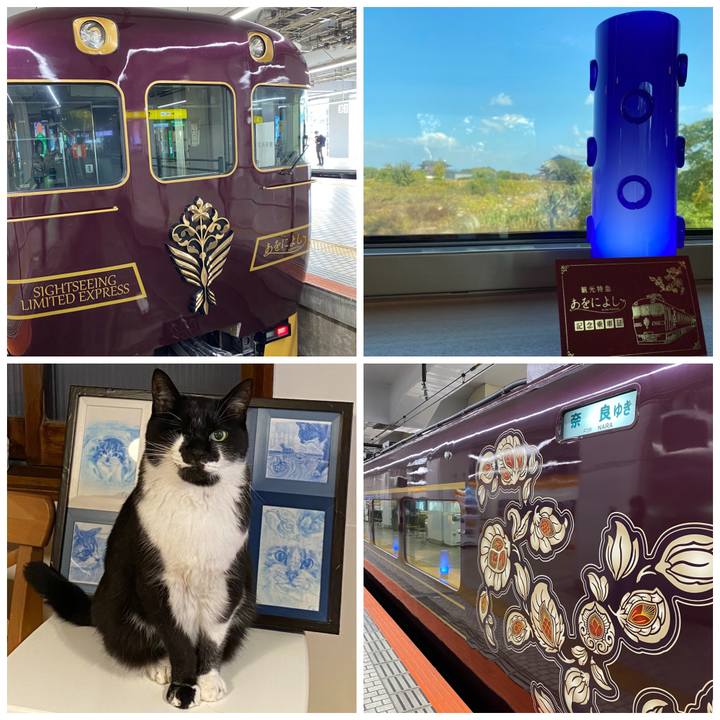 5fb1c06f cdea 4681 b672 6b36de3416b9 1668138044006