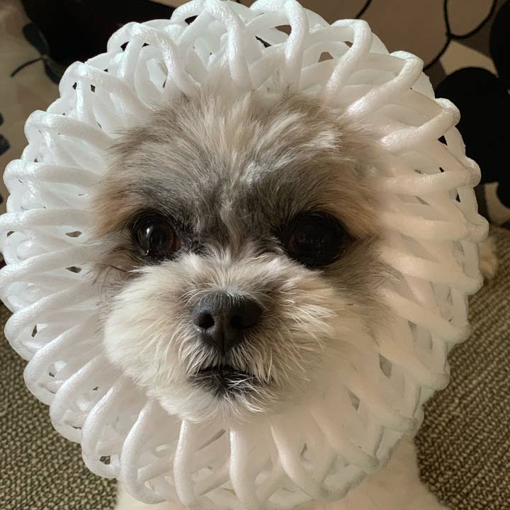 5fb1e88b a73d 4118 b0b8 5d1272b9121a 1561090749326