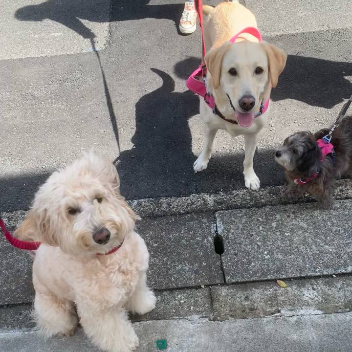 5fb1f9de 63fd 48e0 9245 7dbd6e48242f 1744591531809